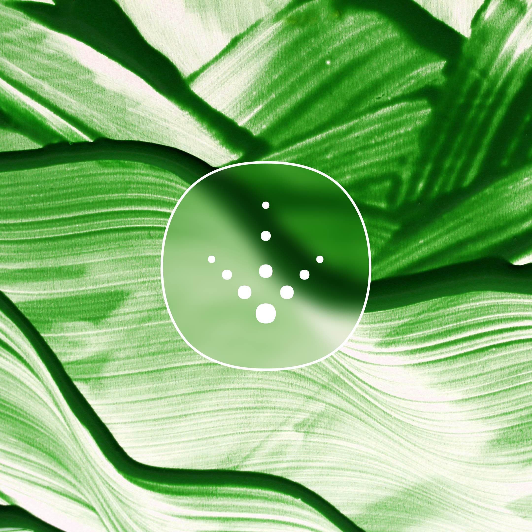 Punto.Energy integrado en el flujo operativo del sujeto delegado